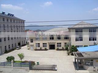 Hangzhou SDM Magnetics Co., Ltd. company overview - view 1