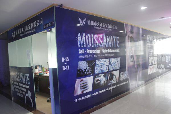Wuzhou Tianyu Gems Co., Ltd. company overview - view 1