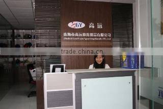 Zhuhai Gaoyuan Sporting Goods Co., Ltd. company overview - view 1