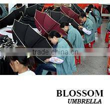Xiamen Bosheng Umbrella Co., Ltd. company overview - view 1