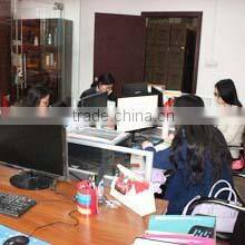 Foshan City Zosun Electrical Appliance Co., Ltd. company overview - view 3