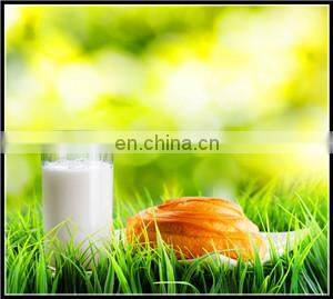 stainless steel emulsifying mixer