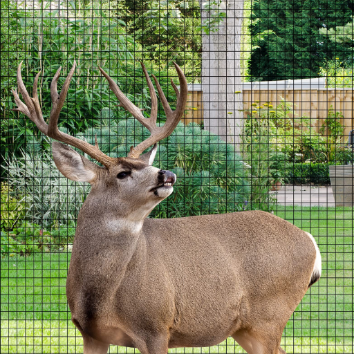 invisible deer fence (3)