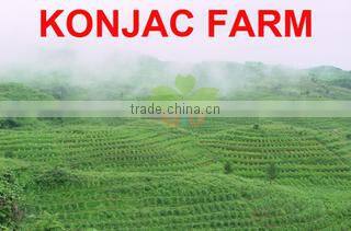 Ator Food Co., Ltd. (Shenzhen) company overview - view 1