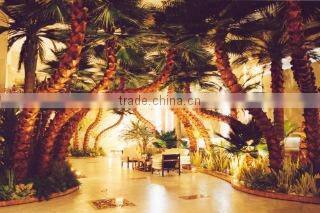 Beijing Palm Technique Development Co., Ltd. company overview - view 1