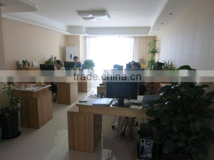 Shaanxi Longstar New Material Technology Co., Ltd. company overview - view 3