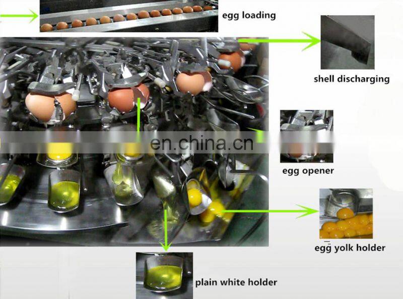 Small capacity chicken egg breaking machine egg cracking machine