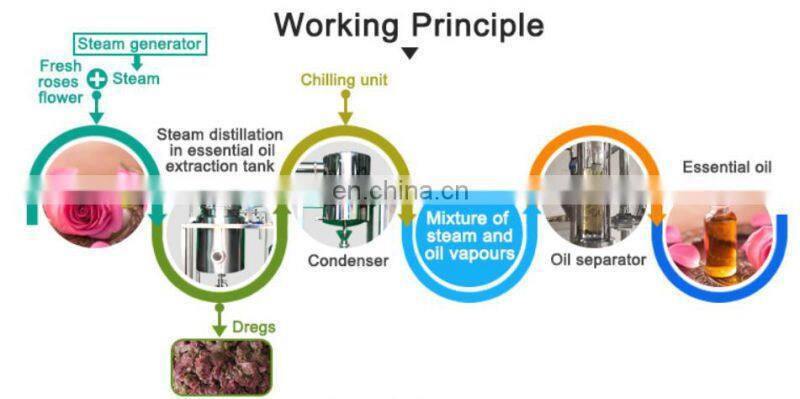 Industrial ginger essential oil hydrosol extract extractor equipment distilling distillation distiller machine for flower plant