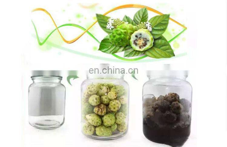 small scale Fresh noni juice production plant