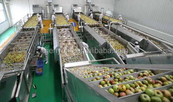 Manufacture Factory GYX-1000 Milk Juice Beverage Ice Cream Combined Processing Line