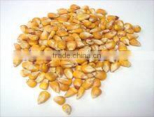 Jaffersons International company overview - view 3