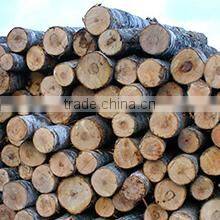 Uab Pesoka company overview - view 3