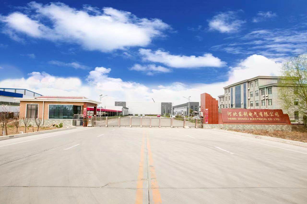 Dongli Electric company overview - view 1