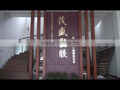 Dongyang Maosheng Plastic Co., Ltd. company overview - view 1