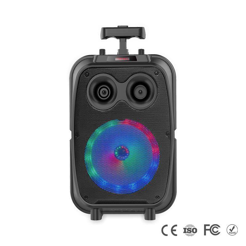 ZQS8120 portable single 8 inch 15W power subwoofer OEM wireless bluetooth loudspeaker for outdoor