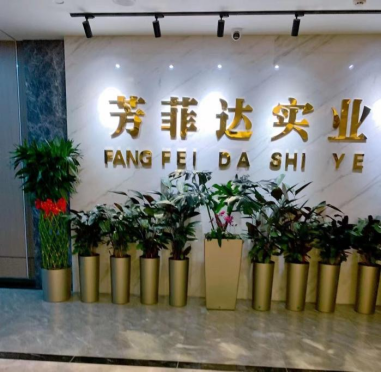 Xinjiang Fang Fei Da Sanitary Products Co. , Ltd. company overview - view 1