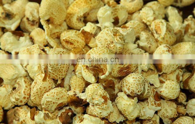 50kg per hour puffed food makers/Pressure Cooker puffing Machine