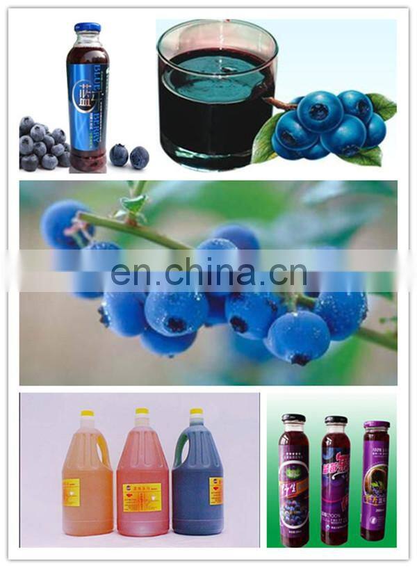Fruit Jam Production Line From China