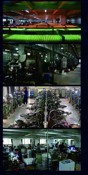 Jiangsu Bright New Light Source Co.,Ltd company overview - view 3