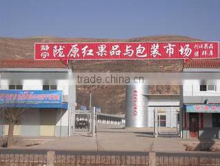 Long Yuanhong Fruits Selling Co., Ltd. Jingning County company overview - view 3