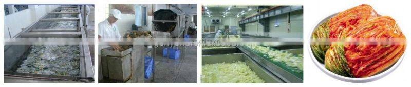 spicy cabbage processing line / korean kimchi process machine