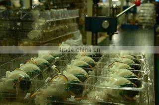 Zhongshan Hulalababy Co., Ltd. company overview - view 3