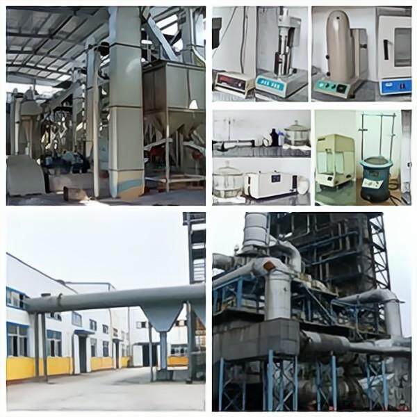 Shijiazhuang Servemine Imp&Exp Co.,Ltd company overview - view 1