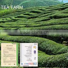 Hangzhou Linan Oriental Tea Applied Technology Research Institute company overview - view 2