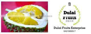 Dulai Fruits Enterprise company overview - view 1