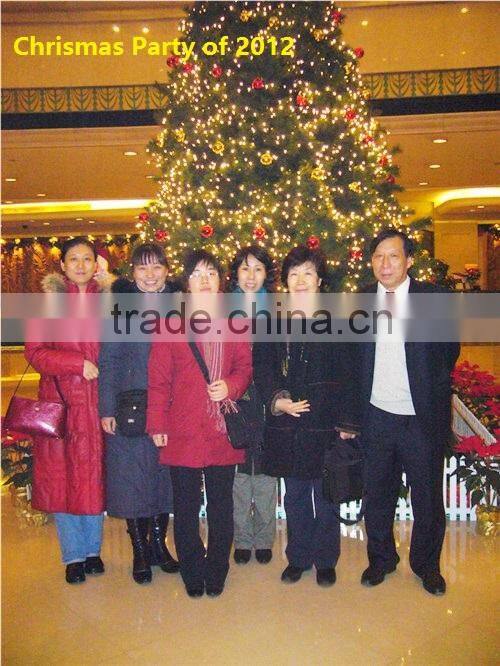 Hebei Yi-Guang Trading Co., Ltd. company overview - view 2