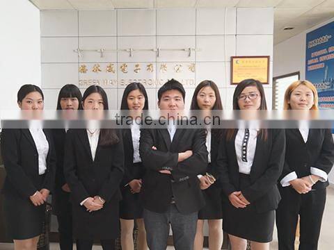 Greenway (Shenzhen) Electronics Co., Ltd. company overview - view 1