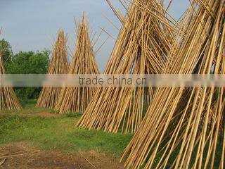 Tien Phuong Trading And Manufacturing Co., Ltd company overview - view 1