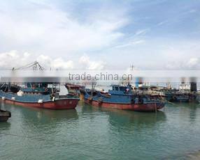 Shishi G-Shield Seafood Technology Co., Ltd. company overview - view 1