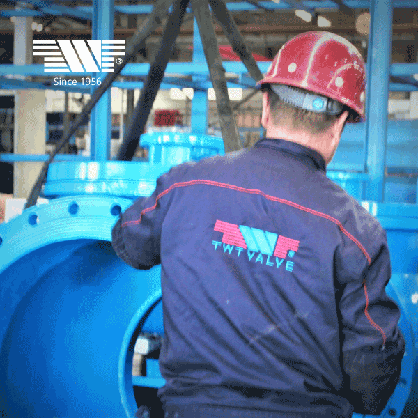 Tianjin Tanggu TWT Valve Co., Ltd company overview - view 2