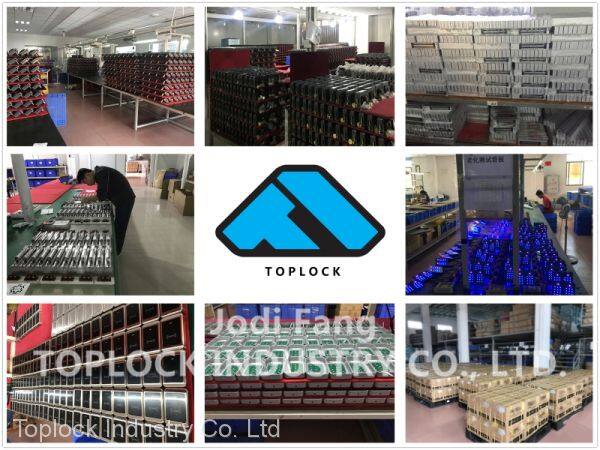 toplock-electric-door-lock-jodi-1