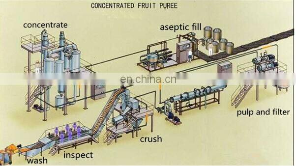Complete Tomato Paste Making Machine with packing line