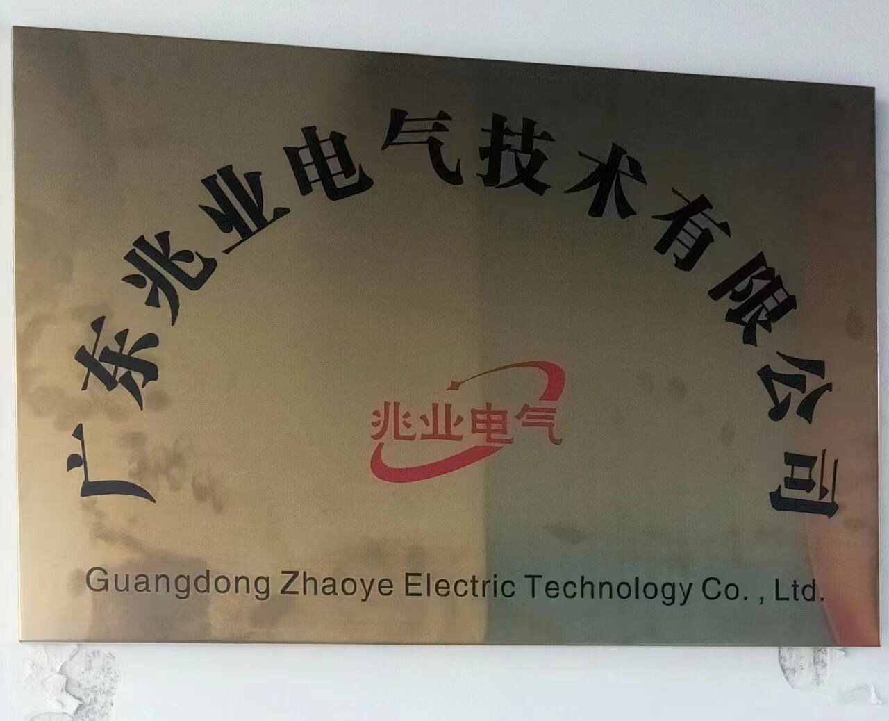 Guangdong Zhaoye Electric Technology Co., Ltd. company overview - view 1