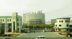 Qingdao Wuxiao Group Co.,Ltd company overview - view 1