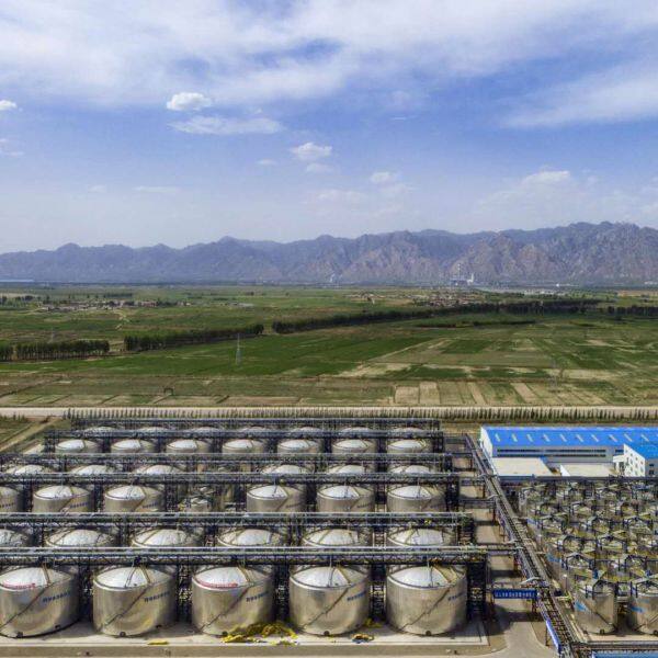 Apaxfon (Baotou) Biological Science And Technologies Co., Ltd company overview - view 3