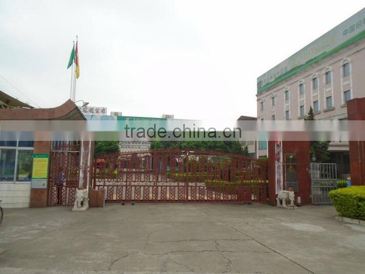 Guangdong Yilong Advanced Material Technology Co., Ltd. company overview - view 2