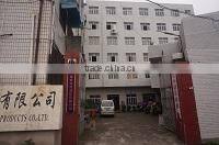 Wenzhou Ginri Power Automation Co., Ltd. company overview - view 1