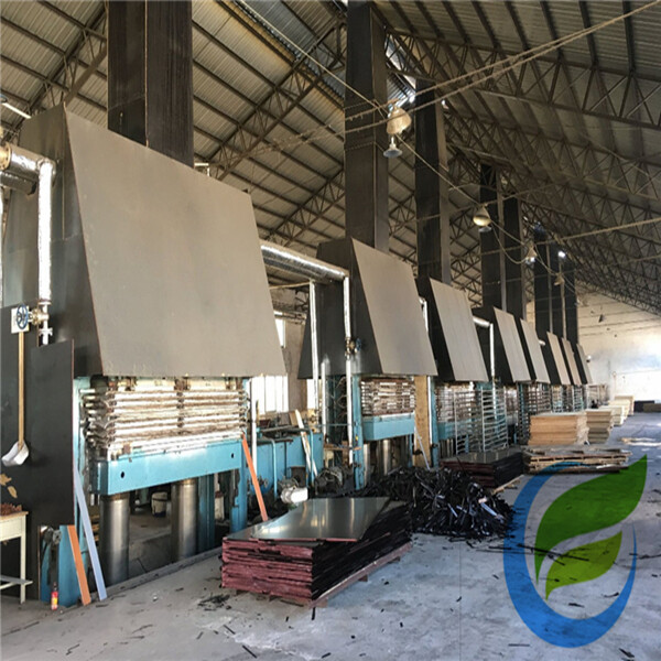 Global Plywood Biz (Linyi) Co.,Ltd. company overview - view 2