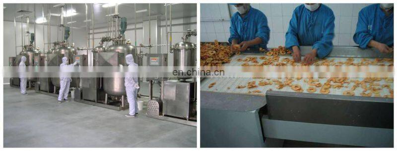 Crispy apple slice making machine / apple crisps production line