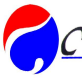 Shenzhen Cobra Sports Goods Co., Ltd. company overview - view 1
