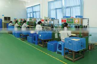 Foshan Shunde Lepuda Motor Co., Ltd. company overview - view 2