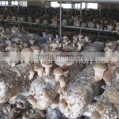 Guangzhou Lianguan Trade Limited Company company overview - view 3