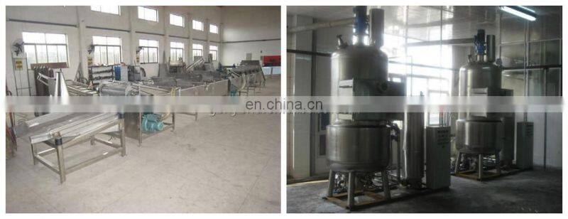 Crispy apple slice making machine / apple crisps production line