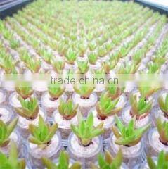 Bj Nature company overview - view 3