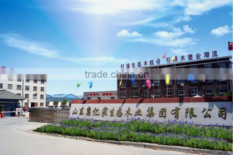 Shandong Kangyijia Ecological WPC Group Co., Ltd. company overview - view 2