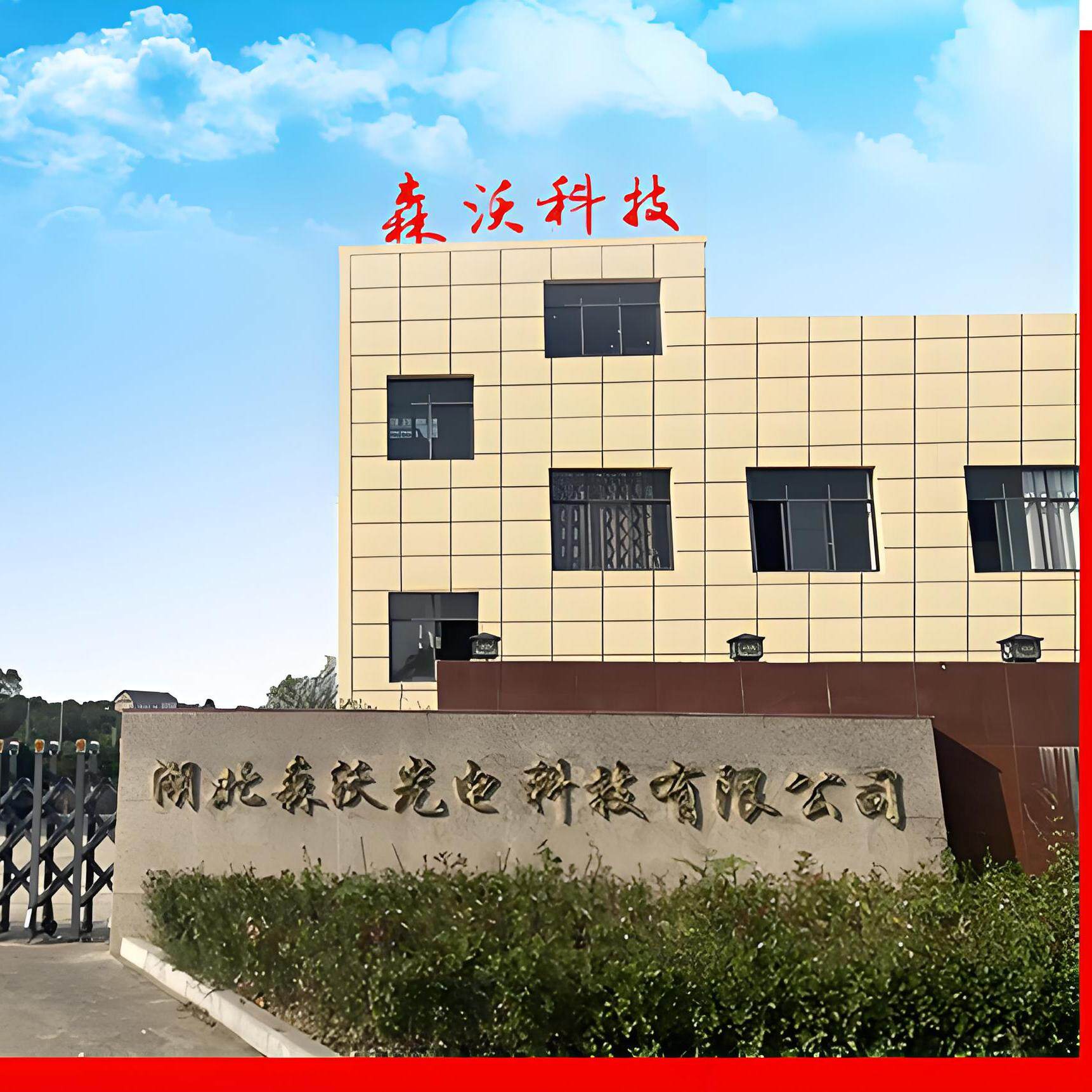 Hubei Senwo Optoelectronics Technology Co., Ltd. company overview - view 1